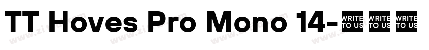 TT Hoves Pro Mono 14字体转换